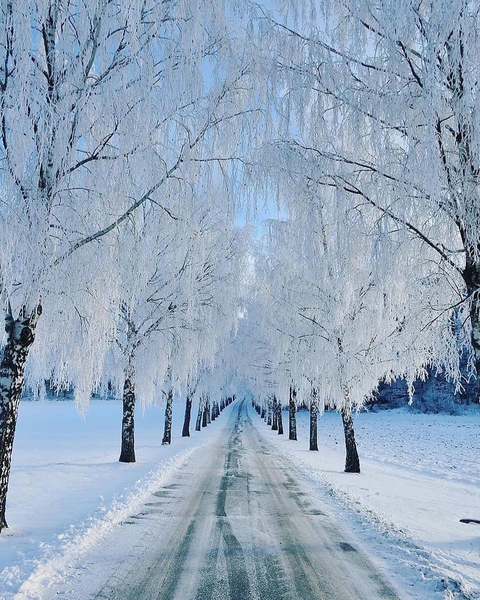 snow, road वॉलपेपर