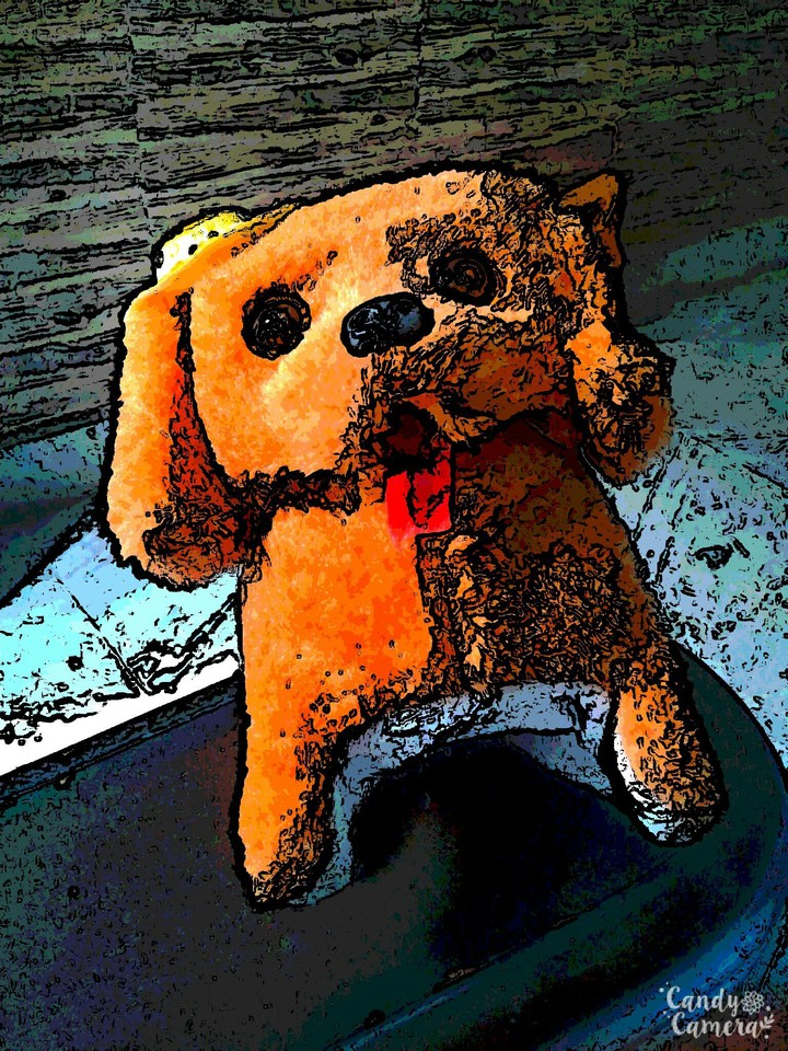 Puppy Toy