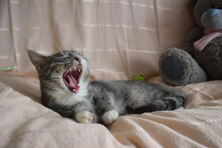 I want to sleep