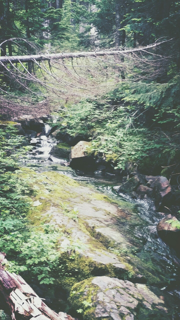 #NATURE