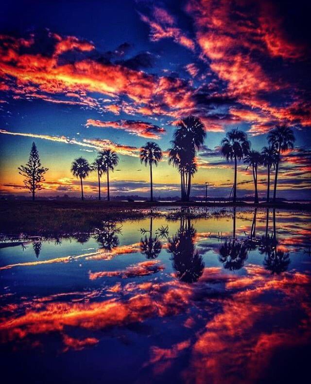 which one is true pic the pic u see first or the upside down