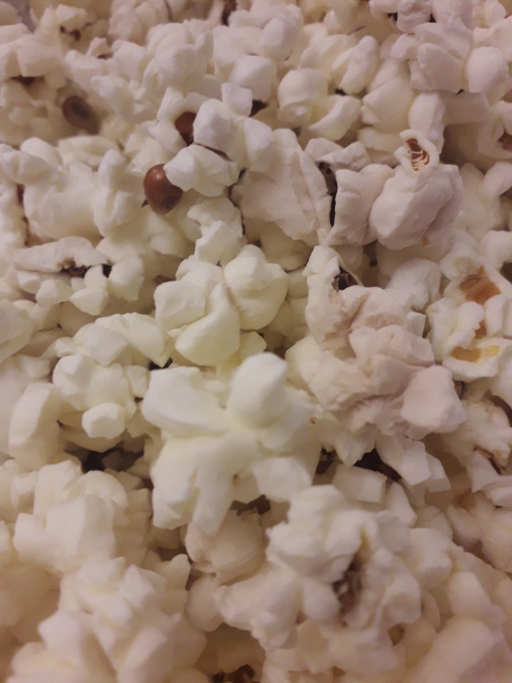 saturday popcorn