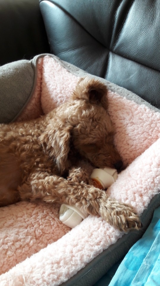 zzz