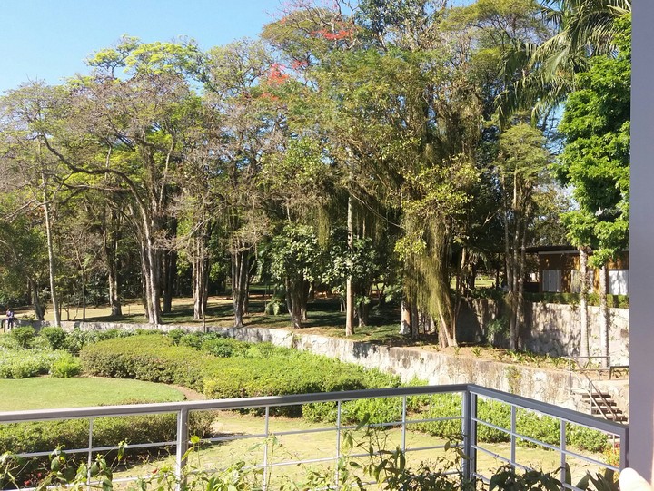 Natureza Viva