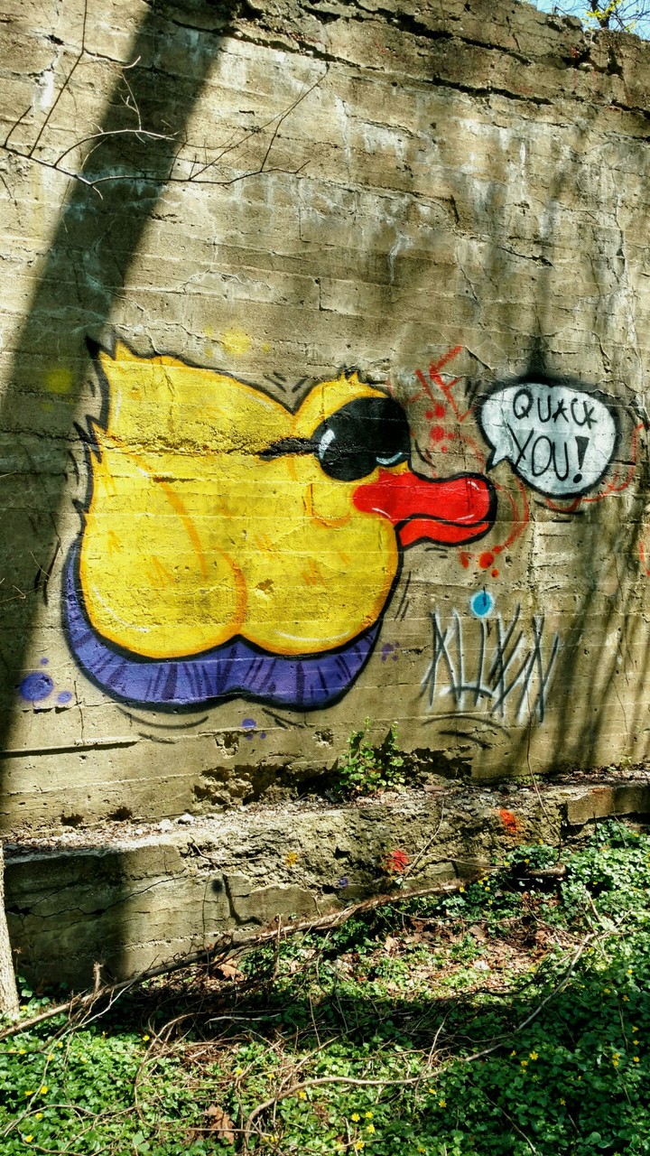Graffiti Duck