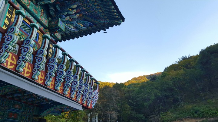 고요