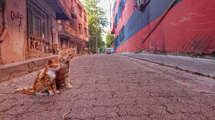 mom and son in street