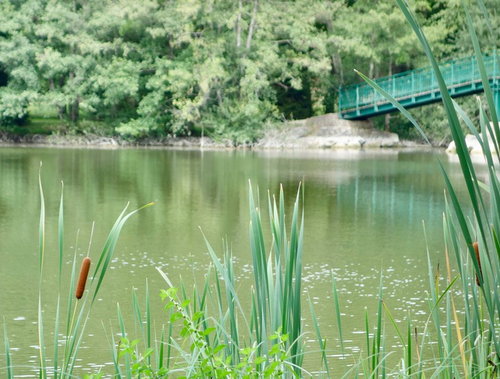 Lac