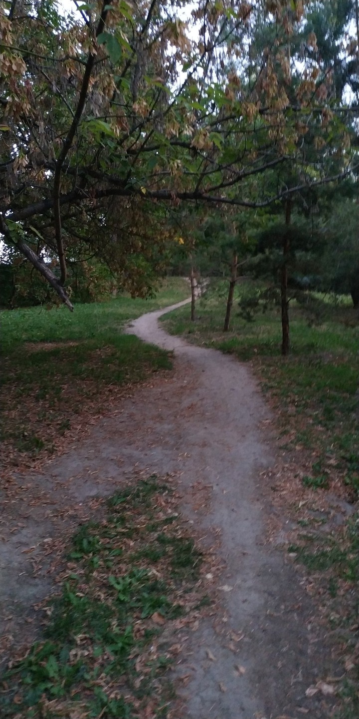 тропа