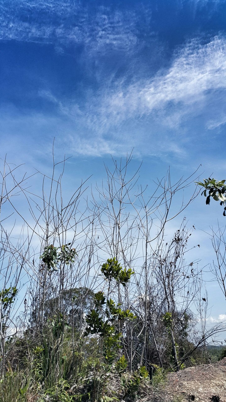 sky