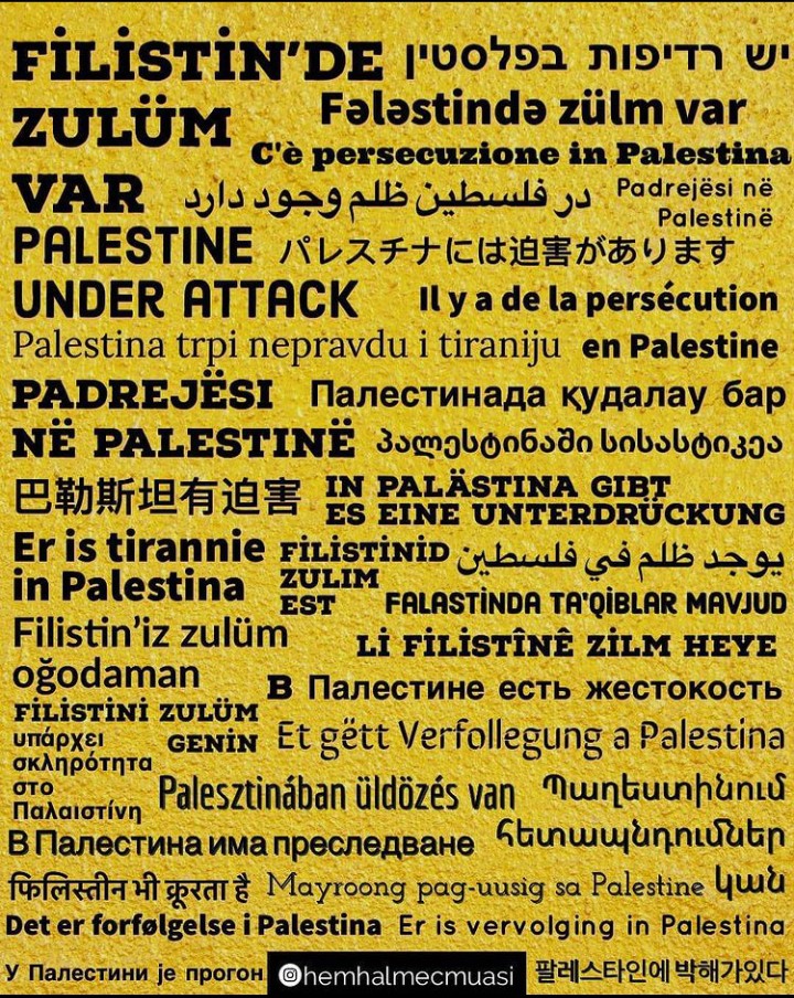 Palestine under attack