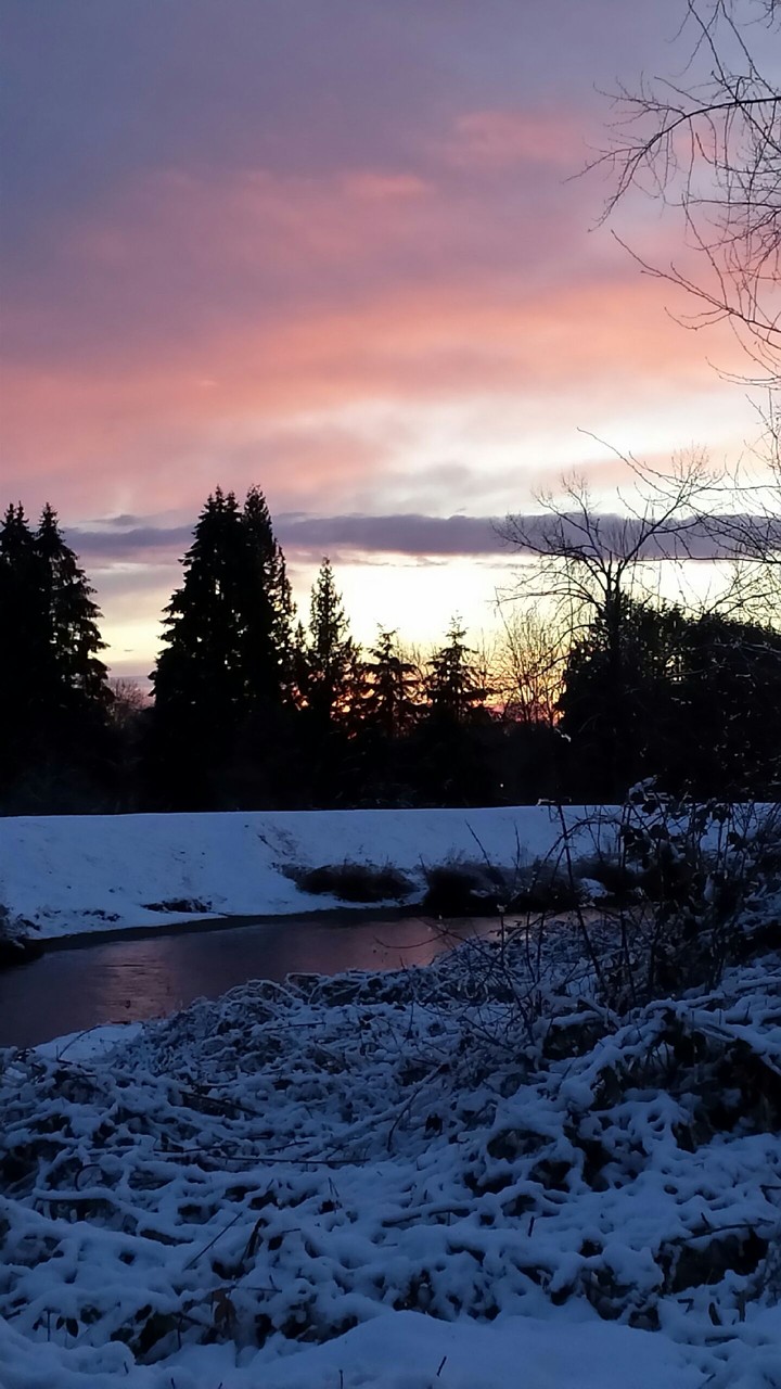 Winter Sunset