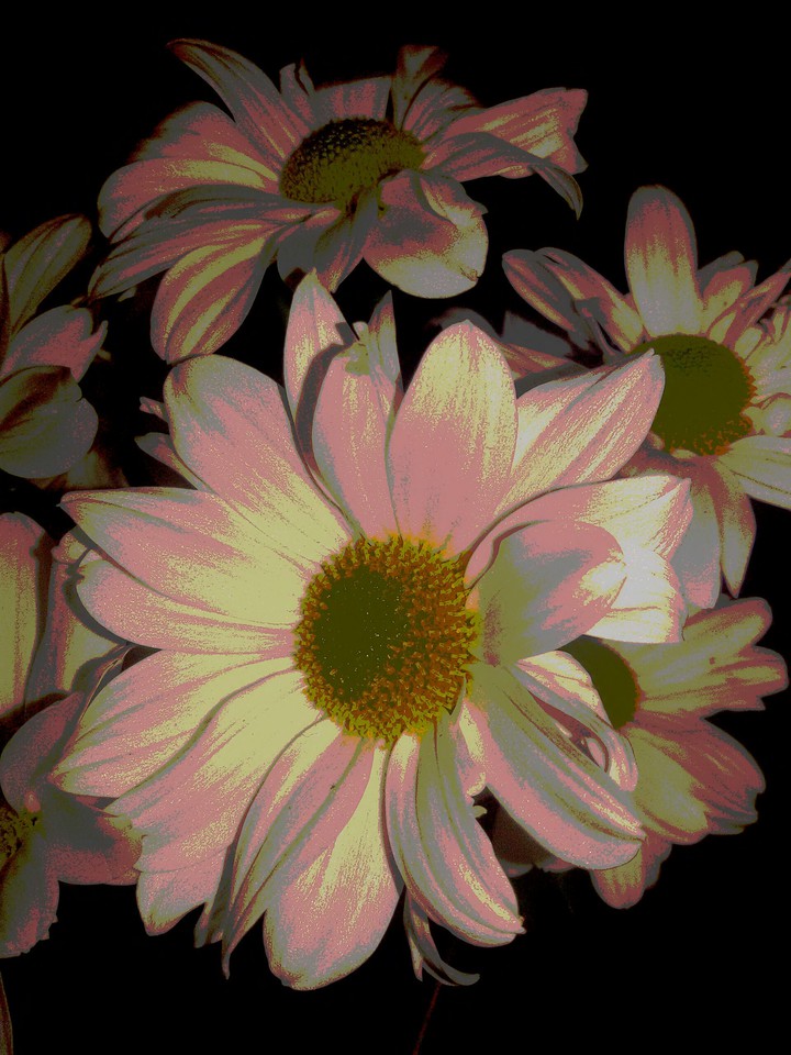 Glam Flower