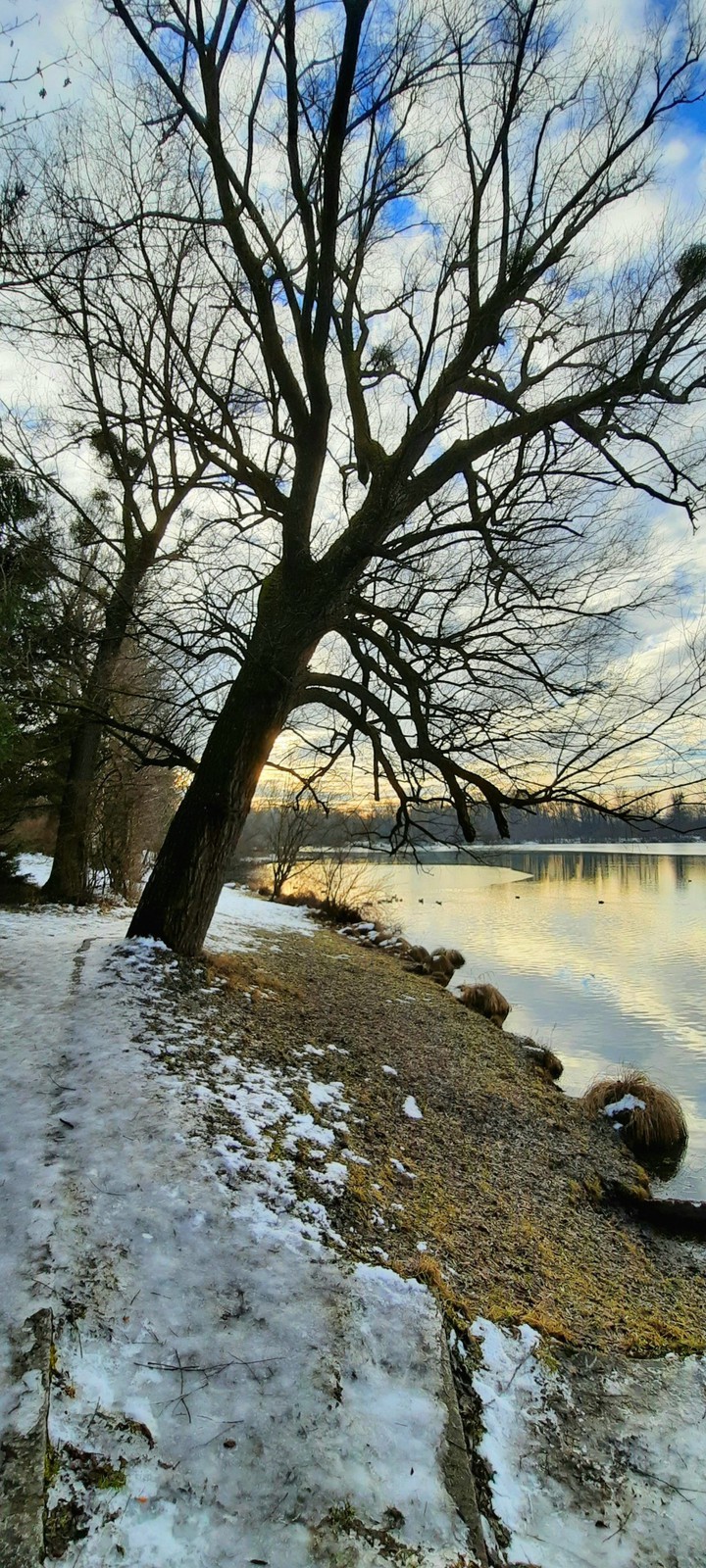 wintersun