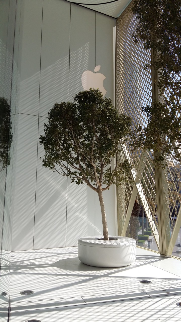 Dubai apple