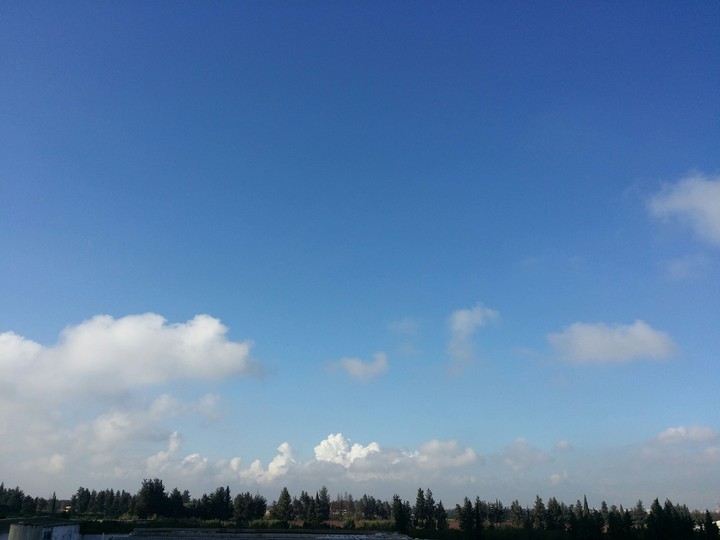 Lovely Morning
