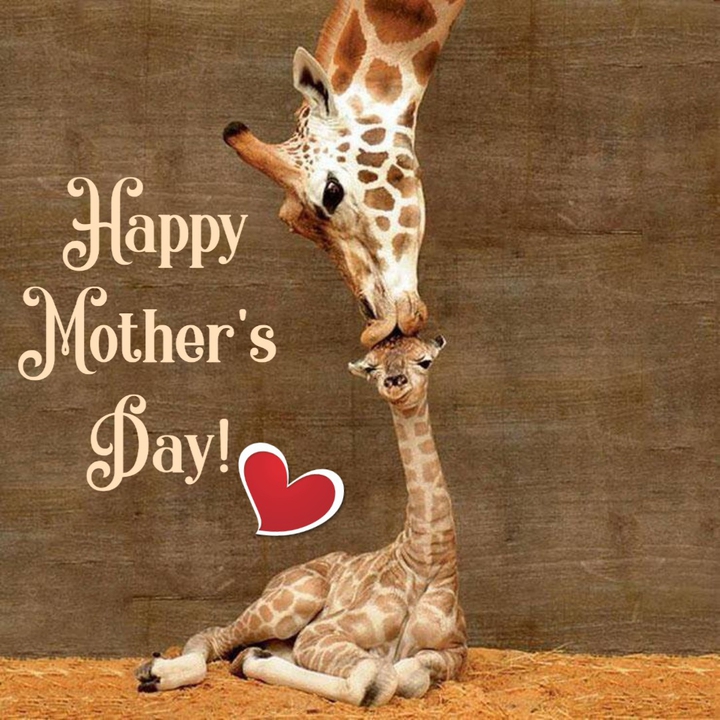 Mother's Day..