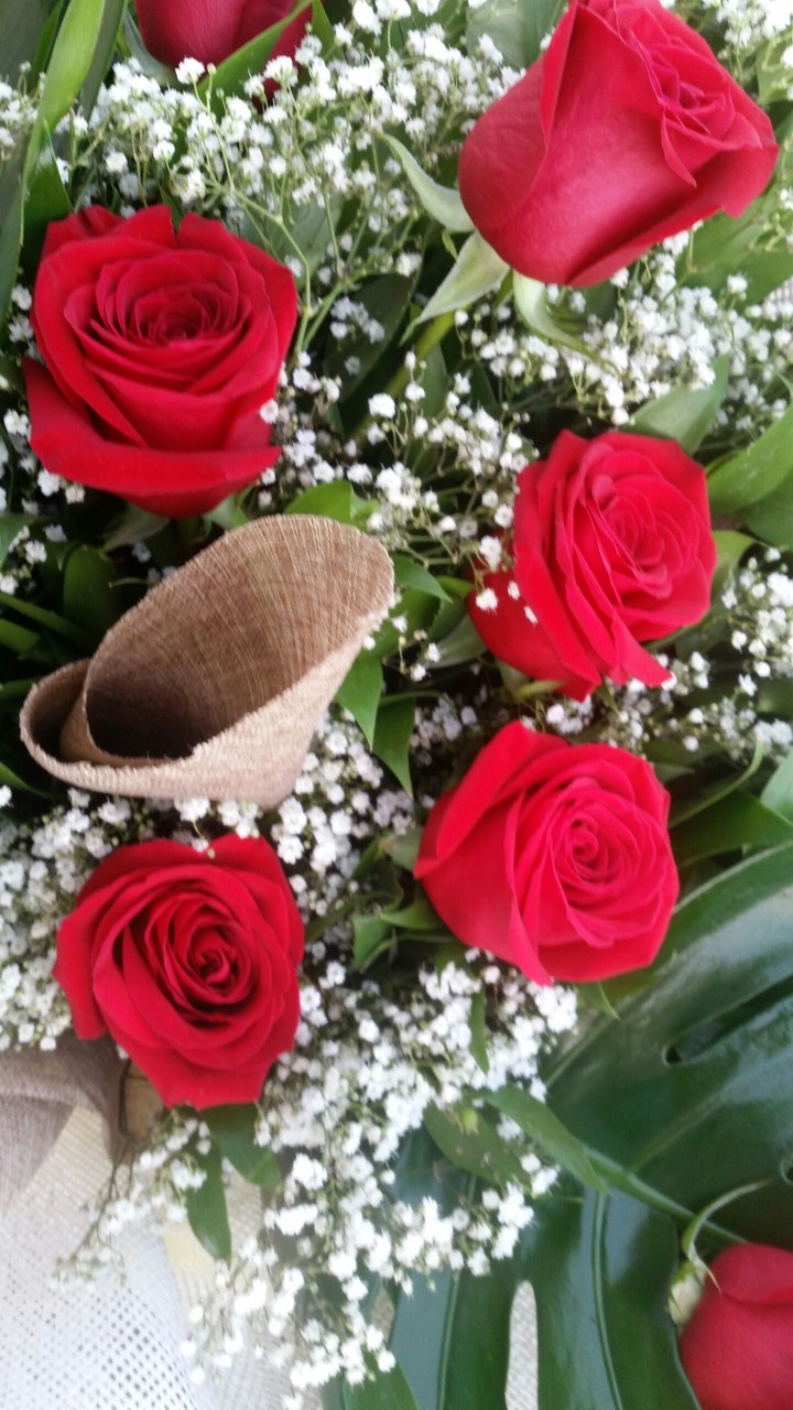 rose