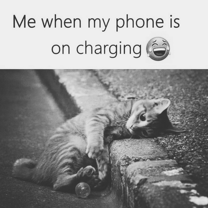 lol