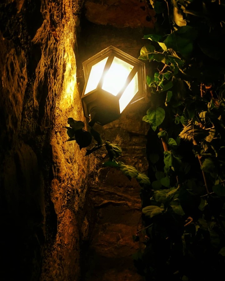 summer night.
