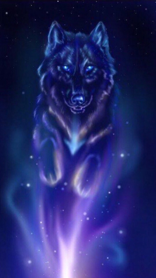 wolf