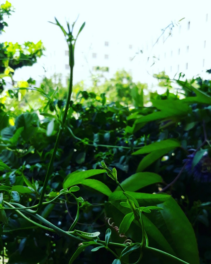 Live in nature.