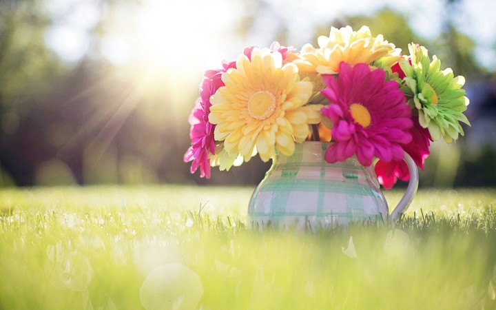 Flowers...