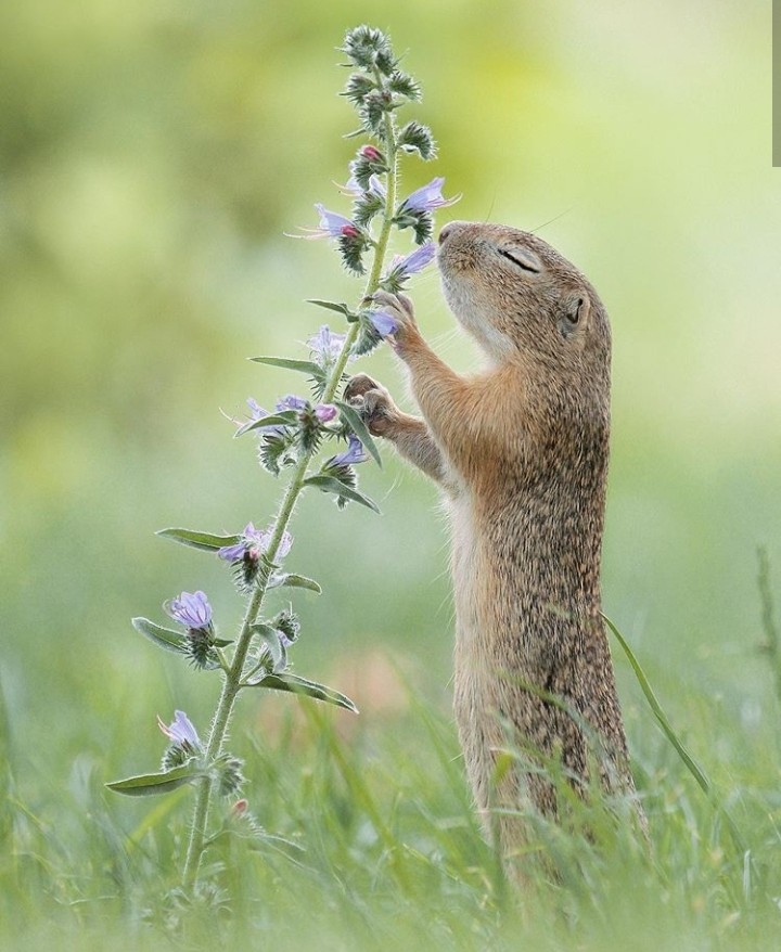 Enjoy The Nature