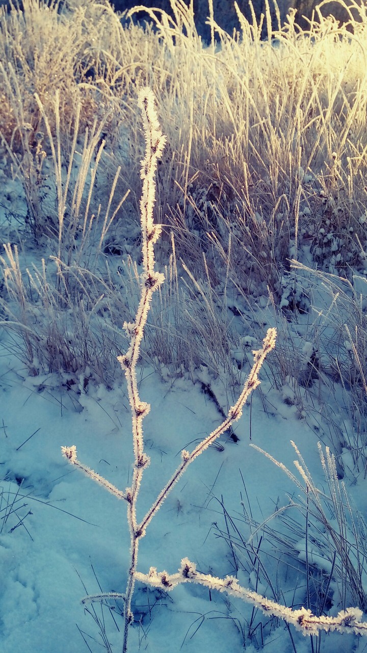 winter