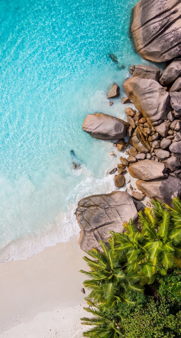 Sea