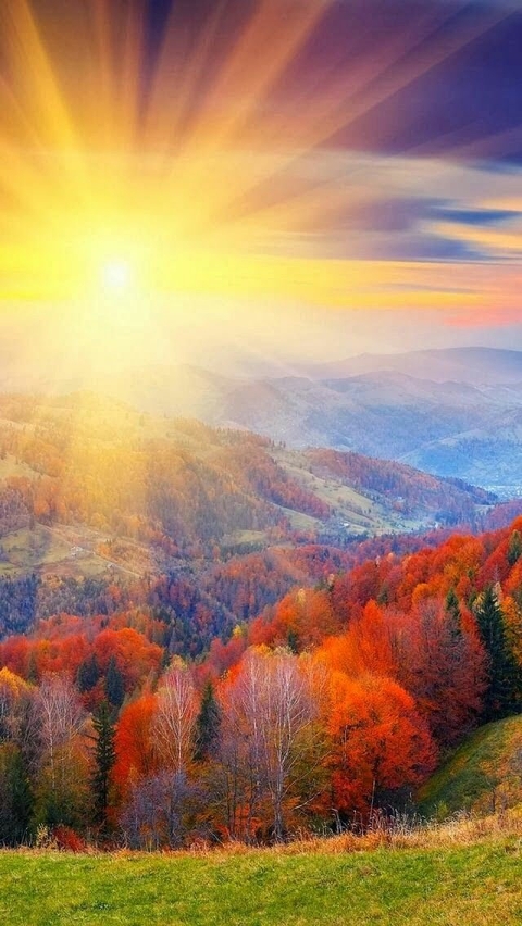 Autumn sunrise