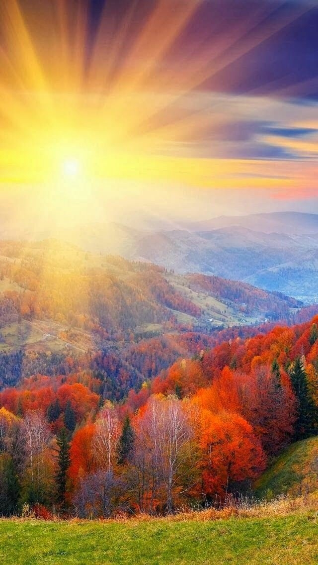 Autumn sunrise