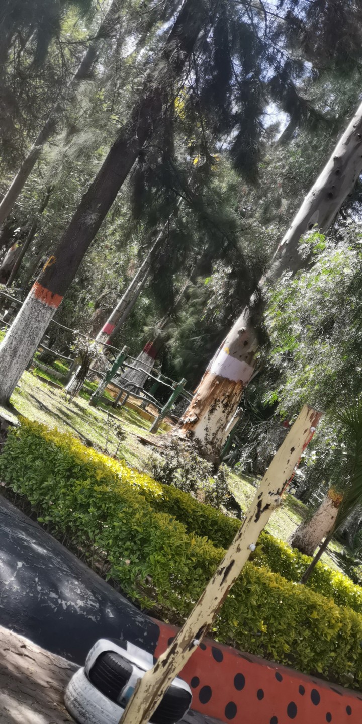 naturaleza