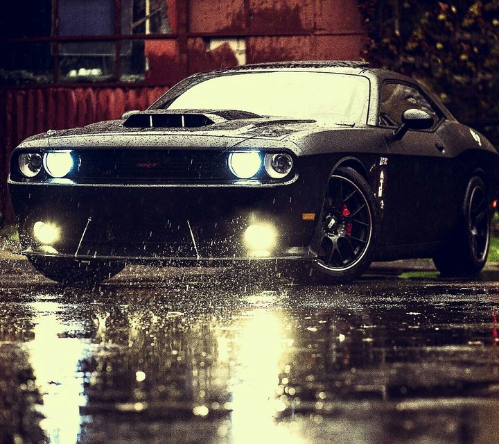 Mustang