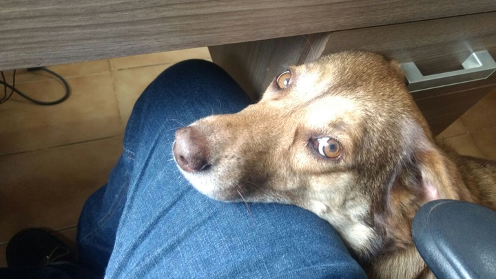 Nina