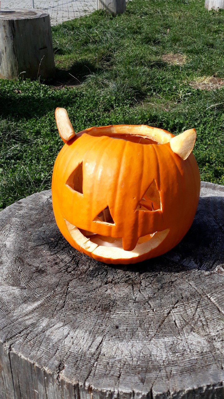 pumpkin