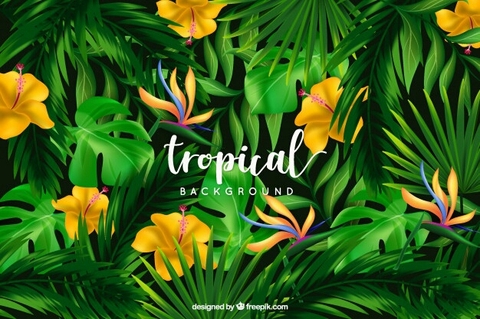 TROPICAL BACKGROUND
