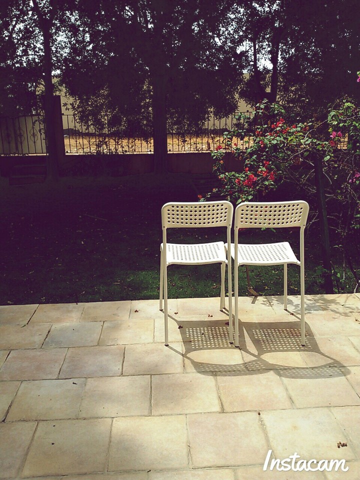 My garden