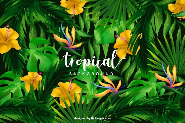 TROPICAL BACKGROUND