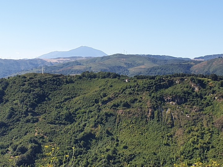 verde montano