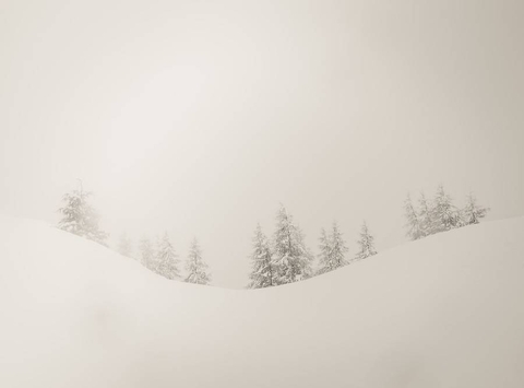 white snow