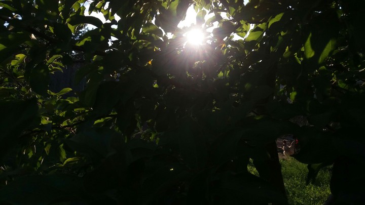 spring