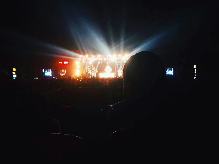 Alan Walker. Dummy.