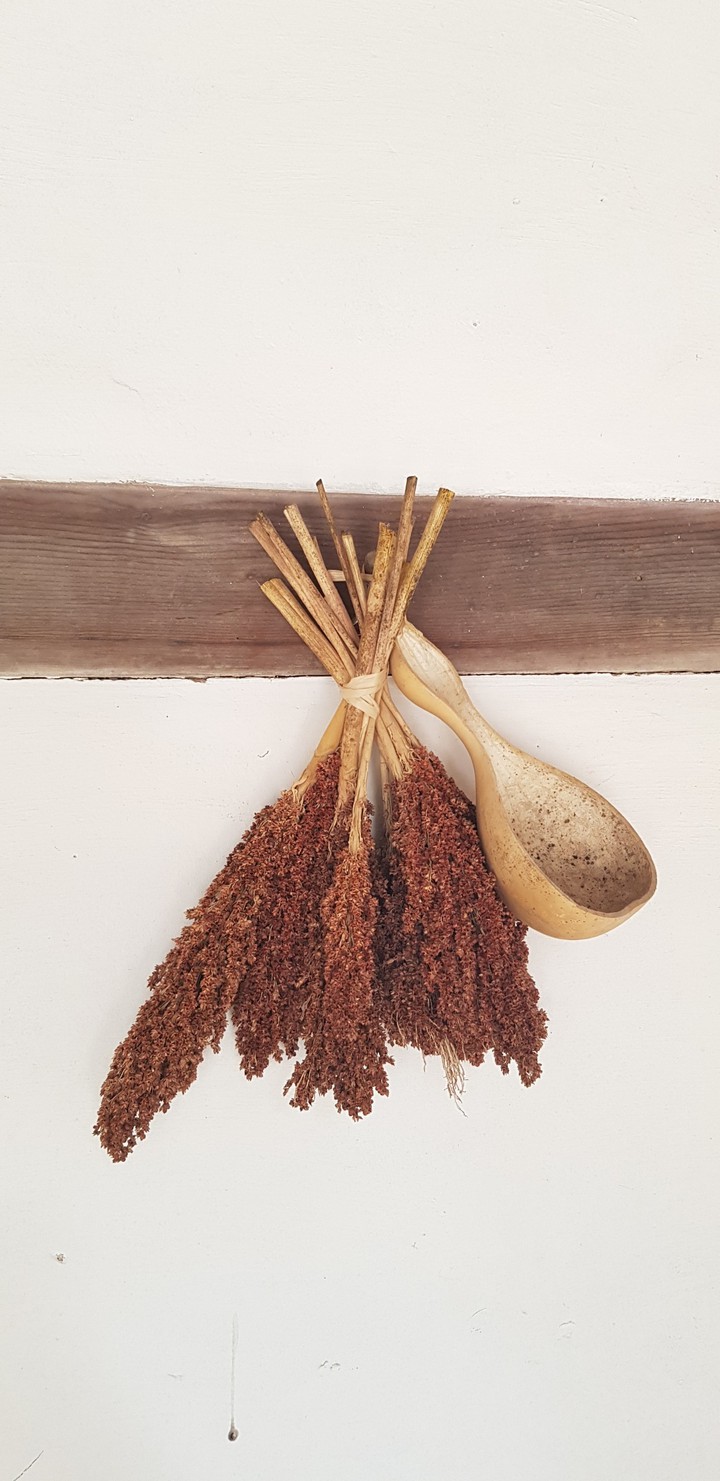 조롱박