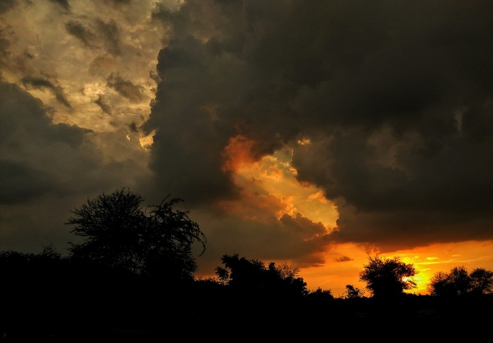 look like painting