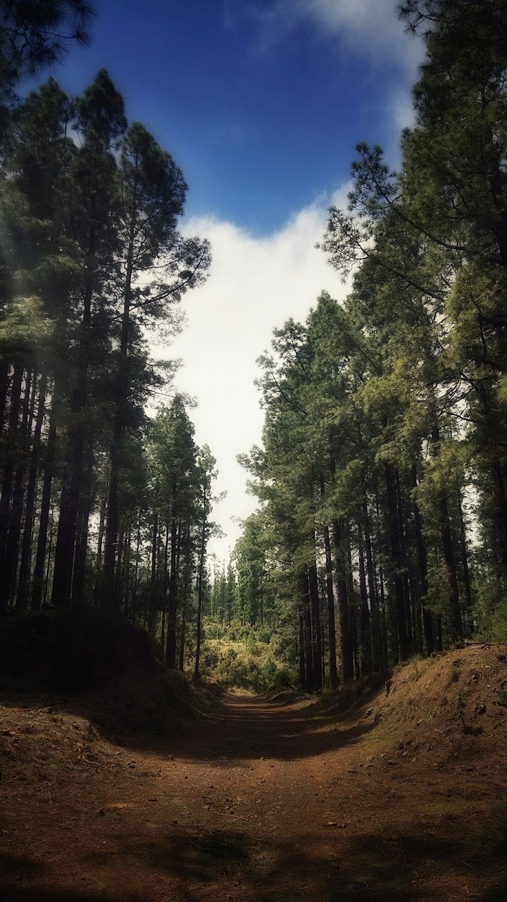 feeling the nature