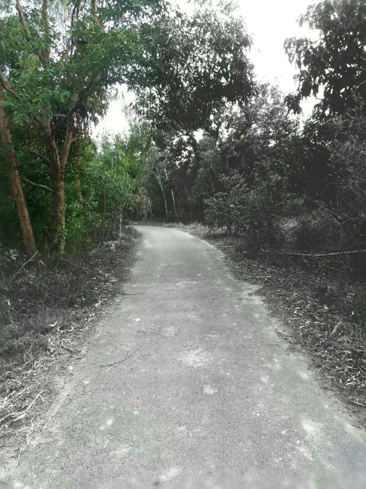 Roads