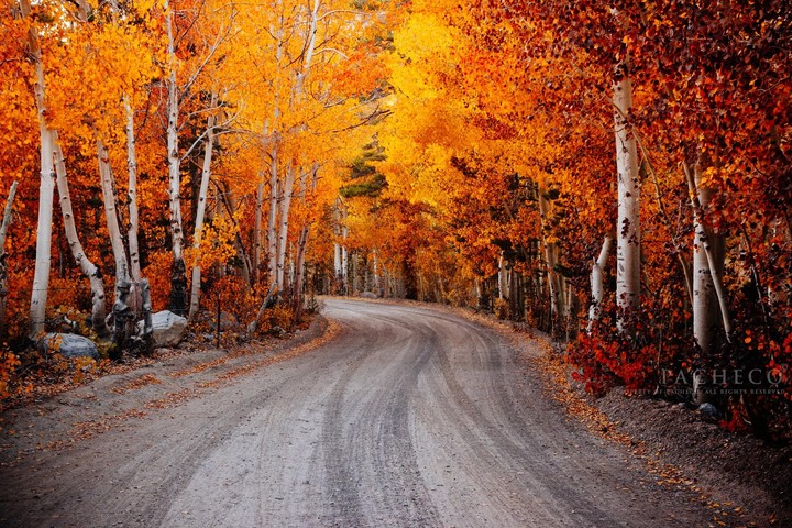 fall