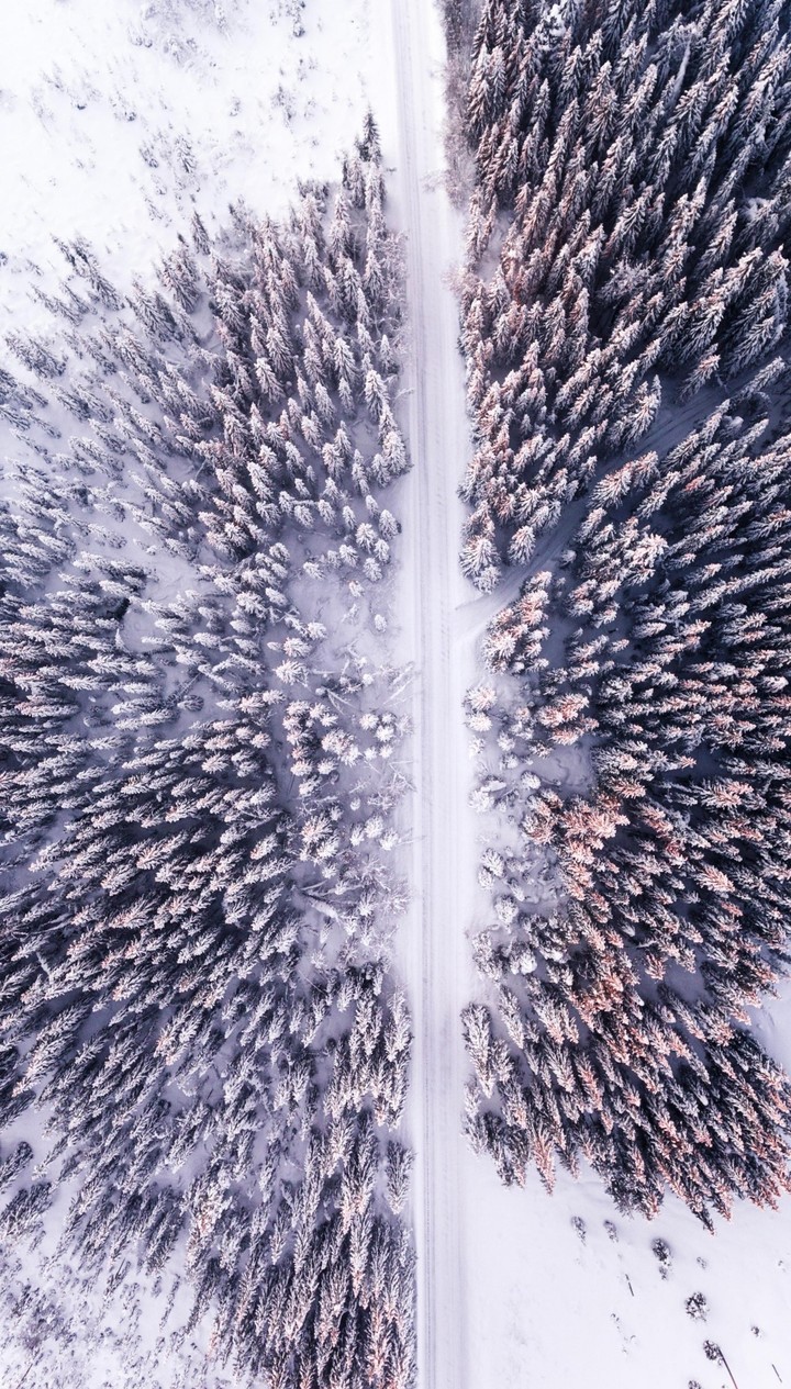 the way