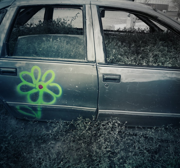 Green and black